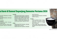 Momentum Bagi Petani Karet Sumsel, Tren Penguatan Harga Sangat Signifikan di Semester Pertama Tahun 2026