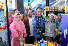 Pertamina Patra Niaga Regional Sumbagsel Resmi Buka SMEXPO Palembang 2025, Hadirkan Lebih dari 30 UMKM Lokal