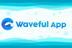 Beneran Beri Kamu Duit! Ini Keuntungan Memakai Aplikasi Waveful