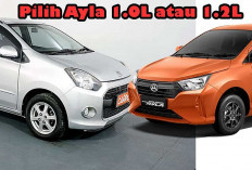Pilih Ayla 1.0L atau 1.2L? Ternyata yang Lebih Irit Bukan yang Kamu Kira!Ini Penjelasaanya