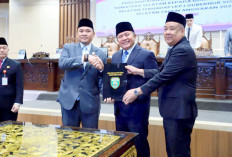 Rapat Paripurna XXXIII DPRD Provinsi Sumsel, 5 Pansus Setujui LKPJ Gubernur TA 2025