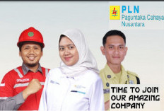 Loker PT PLN Group Bagi Lulusan SMA SMK dan S1, Tutup 2 Desember, Simak Posisi dan Syaratnya