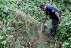 Minta Kematian Suras Diungkap, Hilang sejak November 2024, Ditemukan Sudah Jadi Tengkorak