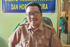 Waspadai Ancaman Hama dan Penyakit 