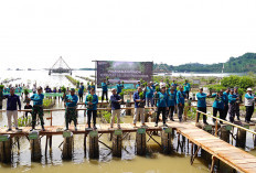 Hari Lahan Basah Sedunia, Bukit Asam Ikut Aksi Tanam Mangrove