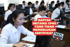 Daftar Instansi CPNS 2024 yang Tidak Memerlukan Sertifikat TOEFL