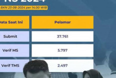 Banyak Pelamar CPNS 2024 Gagal, Yuk Simak Cara Mengatasi Status TMS!