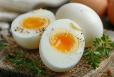 Jangan Takut Makan Telur, Ini Manfaat dan Tips Konsumsinya