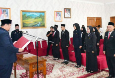 Sebelum Pelantikan, Pejabat Hubungi Kepala BKPSDM 