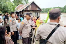 Buaya Muncul, Masyarakat Panik 