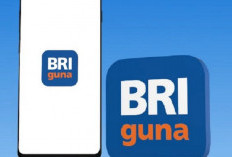 Ajukan Kredit BRIGuna, Khusus PNS-P3K Plafon Pinjaman Bisa Tembus Rp 250 Juta Hingga Rp 500 Juta
