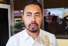 Sudah Toleransi Bertahun-tahun, Komisi IV DPRD Sumsel Dukung Penuh Pemprov Sumsel