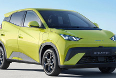 Bukan Cuma Murah, BYD Atto 1 (Seagull) Punya Fitur Bikin Melongo, Siap Geser Dominasi Mobil Listrik Lain?