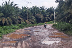 Ruas Batu Kuning–Kurup Rusak Parah, UPTD OKU Prioritaskan Perbaikan pada 2026