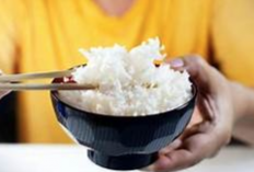 Anak Tak Mau Makan Nasi, Jangan Panik, Ini Caranya