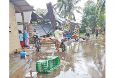 Saling Bahu Membahu, Perbaiki Rumah