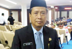 Janji Tingkatkan Pelayanan Kesehatan di OKI, Minta Dukungan Semua Pihak