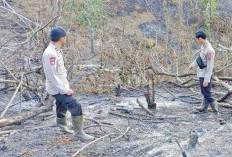 Jangan Buka Lahan dengan Cara Dibakar