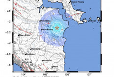 Gempa 4,5 Magnitudo Guncang OKI, BPBD Tegaskan Ini