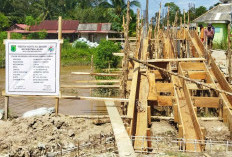 Dari Ternak ke Jagung,  Berharap Jembatan Primer Terwujud