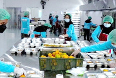 Forum Honorer Minta Pemerintah Kaji Ulang Pengangkatan Pegawai SPPG Menjadi ASN PPPK, Ini Alasannya