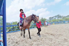 Stable Kuda Taman Wisata Edukasi Jadi Primadona