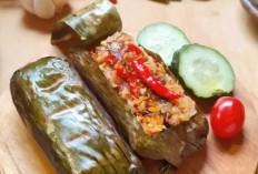 Lezatnya Nasi Bakar Ikan Salmon Asap, Protein Tinggi Cocok untuk Santap Siang dan Malam