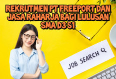 Loker Terbaru Hari Ini: PT Freeport dan Jasa Raharja Buka Rekrutmen Bagi Lulusan SMA, D3, dan S1