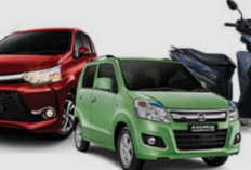 Mobil Kecil vs Motor: Mana Paling Efisien untuk Mobilitas Harian di 2026?