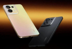 Oppo Reno 8 5G: Smartphone Premium dengan Harga Terjangkau di 2025