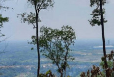 Legenda Kubang Naga di Baturaja: Pesona dan Mitos di Puncak Bukit Katung, Ini Kisahnya!