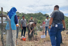 Peringatan Hari Menanam Pohon Indonesia 2024: UPTD KPH Wilayah XI Kikim Pasemah Tanam 400 Bibit Pohon 