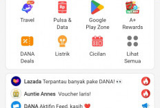 Melalui Aplikasi DANA BRI, Bayar Tagihan Bulanan Kini Tak Pernah Telat