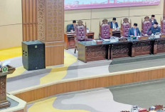 Wakili Gubernur di Paripurna DPRD Sumsel, Wagub Cik Ujang Bakal Siapkan Lompatan Pembangunan Sumsel