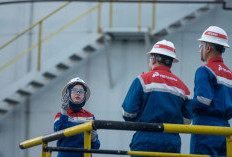 Pertamina EP Limau Tambah Produksi Migas Nasional, Sumur LM-03 Capai 643 Barel per Hari