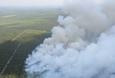 Kebakaran Lahan Gambut di Banyuasin: Tim Gabungan Berjibaku Padamkan Api di Desa Gasing