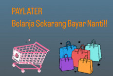 Waspada Paylater: Kemudahan yang Bisa Menjerat Generasi Muda dalam Lingkaran Utang