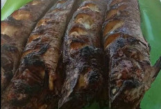 6 Khasiat Ikan Gabus untuk Kesehatan dan Kandungan Gizinya yang Luar Biasa