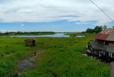 Agus Hasan Bantah Isu Penguasaan Lebak Petai Besar, 'Saya Tahu Hukum dan Tak Pernah Terlibat'
