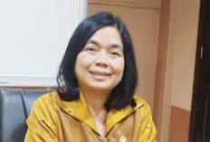 Sumsel Dapat 16 Proyek Strategis Nasional, Jadi Prioritas 2025-2029, Perkiraan Investasi Rp241 T