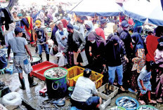 Tarik Investor, Kembangkan Pasar Ikan Lokal 