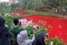 Heboh Viral! Air Kolam di Pagar Alam Tiba-Tiba Memerah, Warga Berdesakan Datangi Lokasi