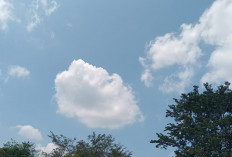 Waspada Cuaca Ekstrem Landa Sumsel, Jumat 15 Agustus 2025