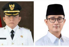 Harta Kekayaan Calon Bupati Pilkada OKU Timur 2024: Ir H Lanosin MT vs Fery Antoni SE MM Siapa Paling Kaya?