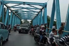 Kemacetan di Jembatan Komering, Warga Heboh Melihat Buaya