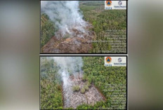 Terjadi Karhutla di Tiga Daerah di Sumsel Mengakibatkan 9,5 Ha Lahan Terbakar, Ini Penjelasan BPBD Sumsel 