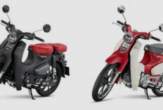 Honda Super Cub C125 & CT125: Klasik Abadi dengan Sentuhan Teknologi Terkini