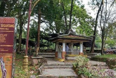 Menjelajahi Bukit Siguntang: Jejak Peradaban Sriwijaya,  Pusat Spiritual dan Sejarah Kota Palembang!