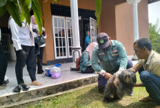 Distan Prabumulih Perluas Vaksinasi Rabies Keliling, Sukajadi Jadi Fokus Awal
