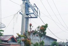 Ulah Pencuri Trafo-Kabel Gardu PLN Buat Netizen Murka, Ini Yang Disampaikan 